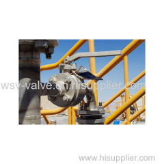 Onshore Oil and Gas Valve