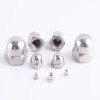 SS DIN1587 Dome nut M3 M4 M5 M6 M8 M10 M12 M14 M16