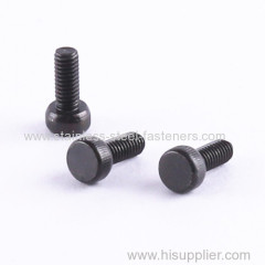 Made In China Factory Customized Special Machine Screws