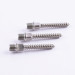 A2-70 A4-70 Allen Cap Head Tapping Screws