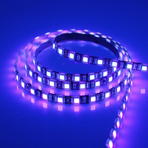 UVA 395nm 5050LED strip Lights 12V 24V