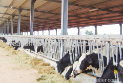 Steel Frame Farm Buildings