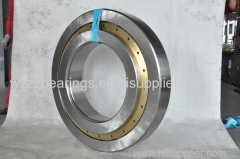 Cylindrical Roller Bearing Single Row and Double Row