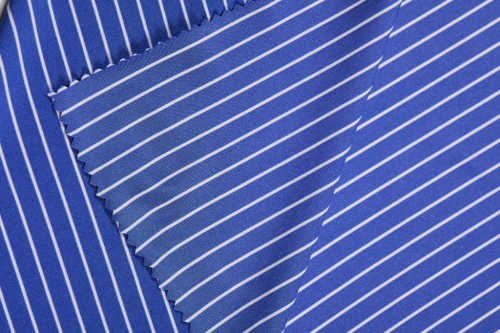 Elastic stripes single jersey