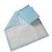 OEM ODM Manufacturer Distributor Disposable Underpads for Adults/Elderly/Incontinence/Pets/Dog