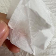 Environmentally Friendly Disposable Scrim Reinforced Hand Paper Towel