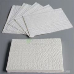 Soft Absorbent Disposable Scrim Reinforced Paper Towel