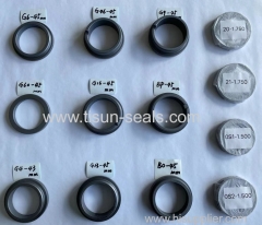 TS H75 Mechanialc Seals