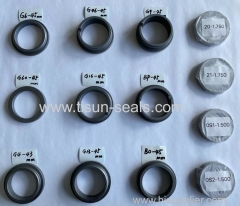 TS 8-1 Mechanical Seals
