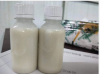 Agricultural Chemicals Fungicide Carbendazim 50%SC