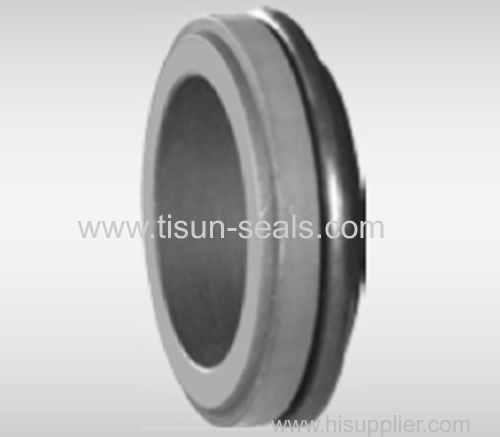 WG T12/WG 12DIN Mechanical Seals