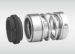 37 WG 250 Mechanical Seals