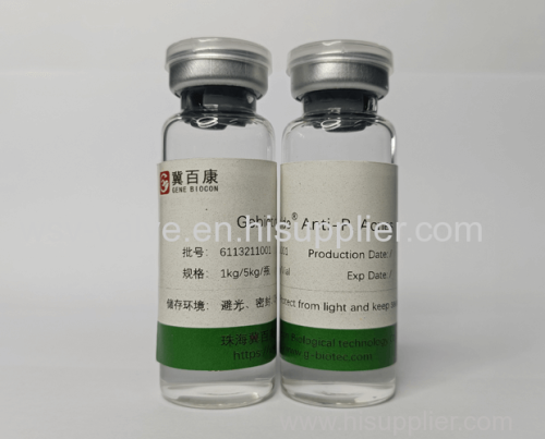 Recombinant Human Insulin-like Growth Factor