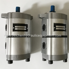 M5DBP2010HX20C15N gear pump made in China