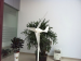 Horizontal Axis Micro Wind Turbine 100W~1000W