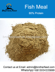 60% Proten fish meal for seal high quality with low price