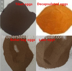 China Supplier Artemia Cysts BBS Brine Shrimp Eggs Bohai Bay Eggs 100% Pure Natural Fish Feed