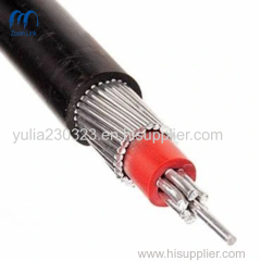 600V Copper/Aluminum Conductor XLPE Insulated PVC Sheath Concentric Cable