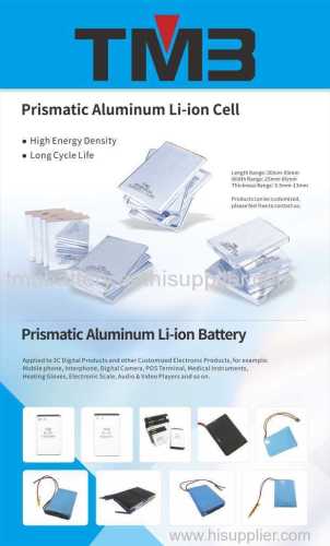 TMB Li-ION PRISMATIC CELL AND BATTERY PACK