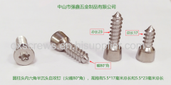 Torx Head Cap Tapping Screw