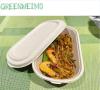 Sugarcane Bagasse Food Container