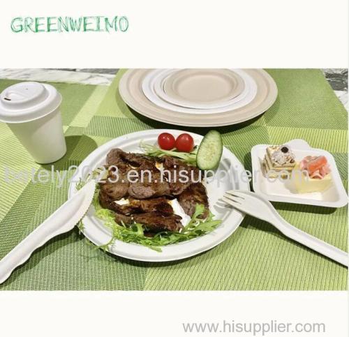 Compostable Biodegradable Cutlery Set & Utensils