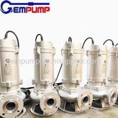 China Non-Clogging Submersible Dirty Waste Water Drainage Pump Vertical Stainless Steel Sludge Centrifugal Pump