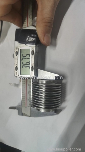 stainless steel bellowsb for pressure gauges