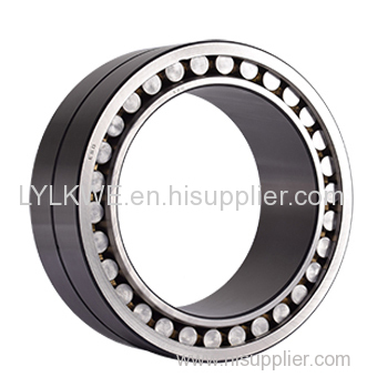 Double Row Cylindrical Roller Bearings