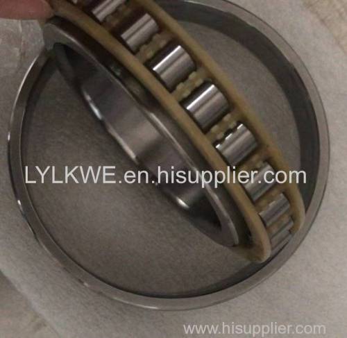 N1006 Cylindrical Roller Bearings