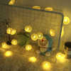 dream girl heart room decoration led lemon string light