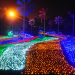 colorful led net light outdoor decoration light