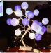 beautiful romantic roses cotton tree light