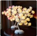 beautiful romantic roses cotton tree light