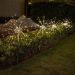 solar powered ground-mounted led fireworks light