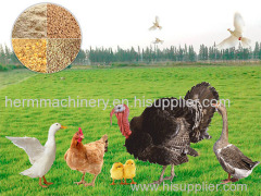 Poultry Feed Mill Plant