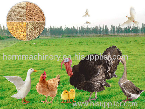 Poultry Feed Mill Plant