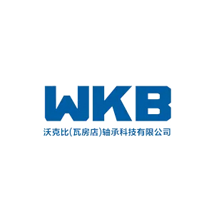 WKB (Wafangdian) Bearing Technology Co,. Ltd.