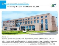 Shandong Henglian New Materials Co.,Ltd.