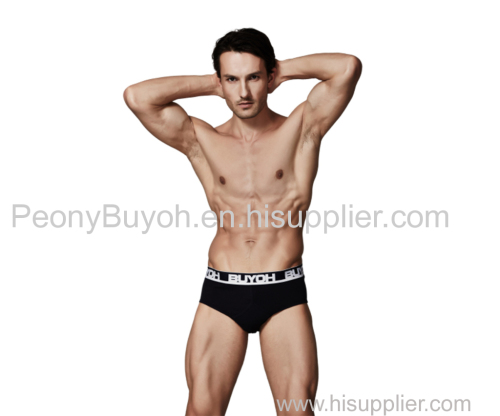 Bamboo Briefs Mens Bamboo Briefs Mens