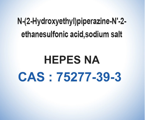 CAS 75277-39-3 HEPES Sodium Salt Biological Buffers Biochemistry