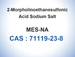 MES Sodium Salt Biological Buffers Powder Bioreagent CAS 71119-23-8