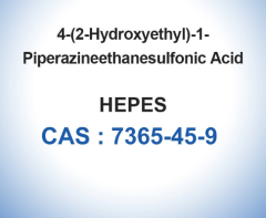 HEPES Biochemical Reagents CAS 7365-45-9 Molecular Biology