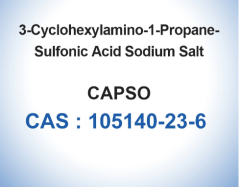 CAPS 105140-23-6 Biochemical Reagents 3-(Cyclohexylamino)-1-Propanesulfonic
