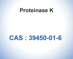 Proteinase K CAS 39450-01-6 Reagents Enzymes SGS Approved Biochemical