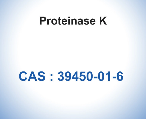 Proteinase K CAS 39450-01-6 Reagents Enzymes SGS Approved Biochemical