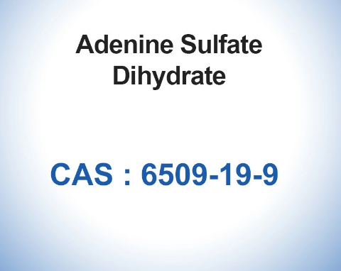 99% Adenine Sulfate Dihydrate CAS 6509-19-9