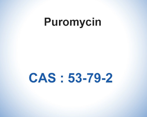 Cas 53-79-2 Puromycin Powder ISO Certificated