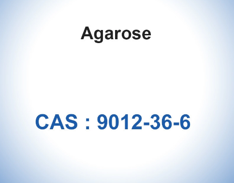 CAS 9012-36-6 Agarose Biochemical Glycoside BioReagent