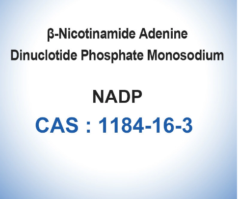NADP Monosodium Salt Biological Catalysts Enzymes CAS 1184-16-3